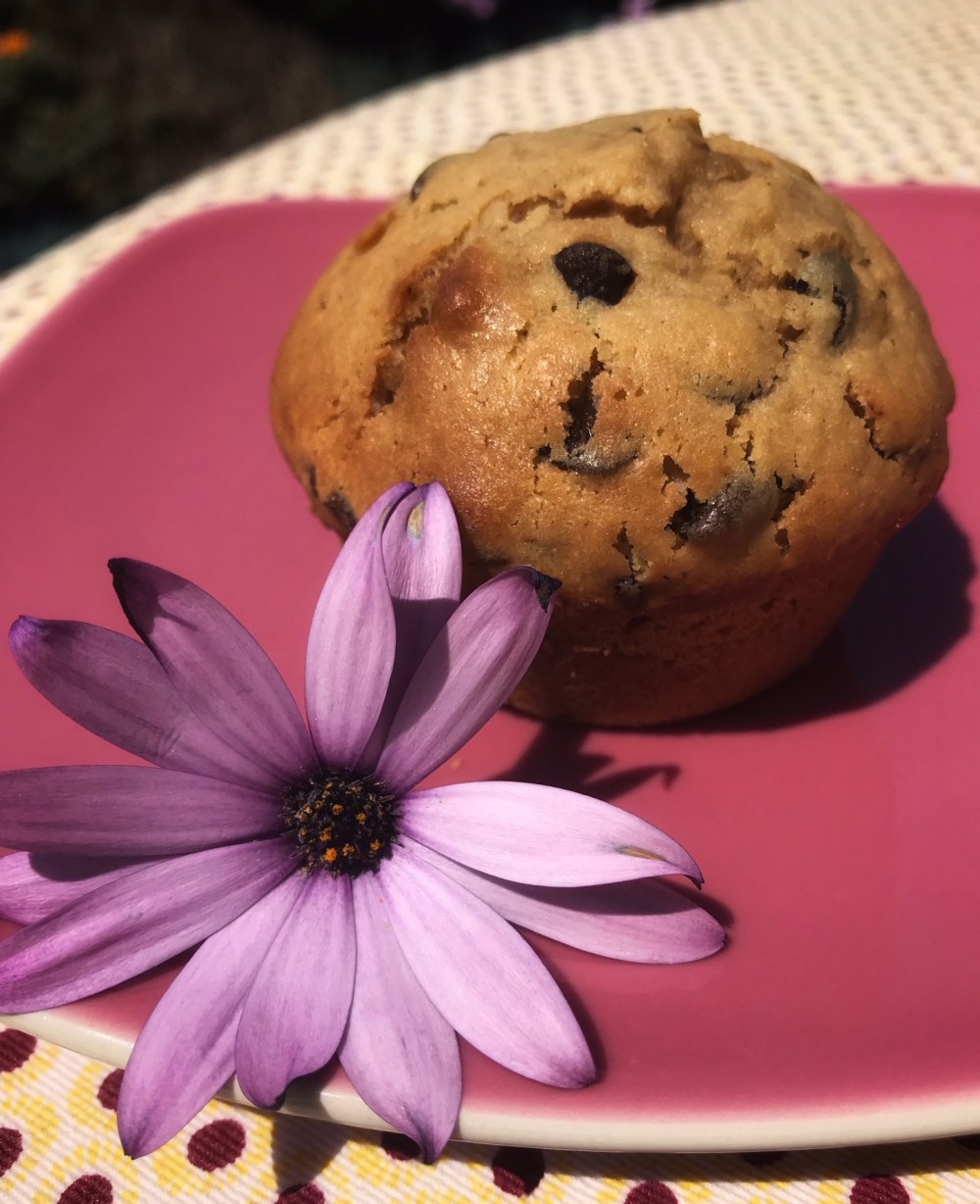 muffins pepites chocolat