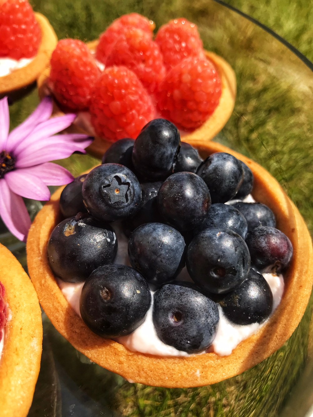 tartelettes aux fruits10