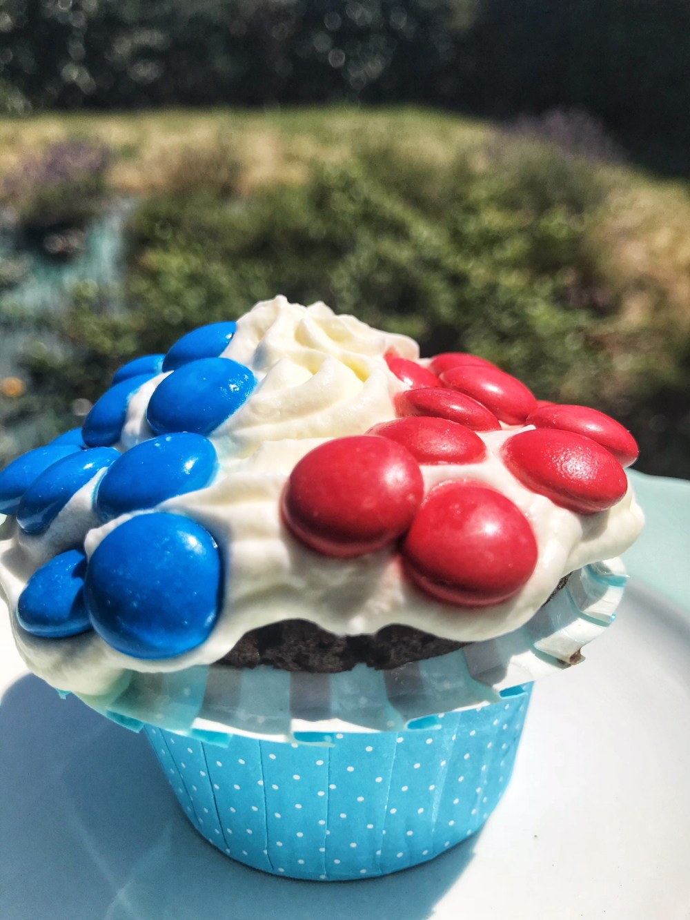 cupcakes au chocolat4