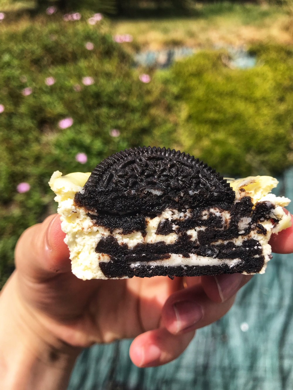 mini oreo cheesecake cupcakes7