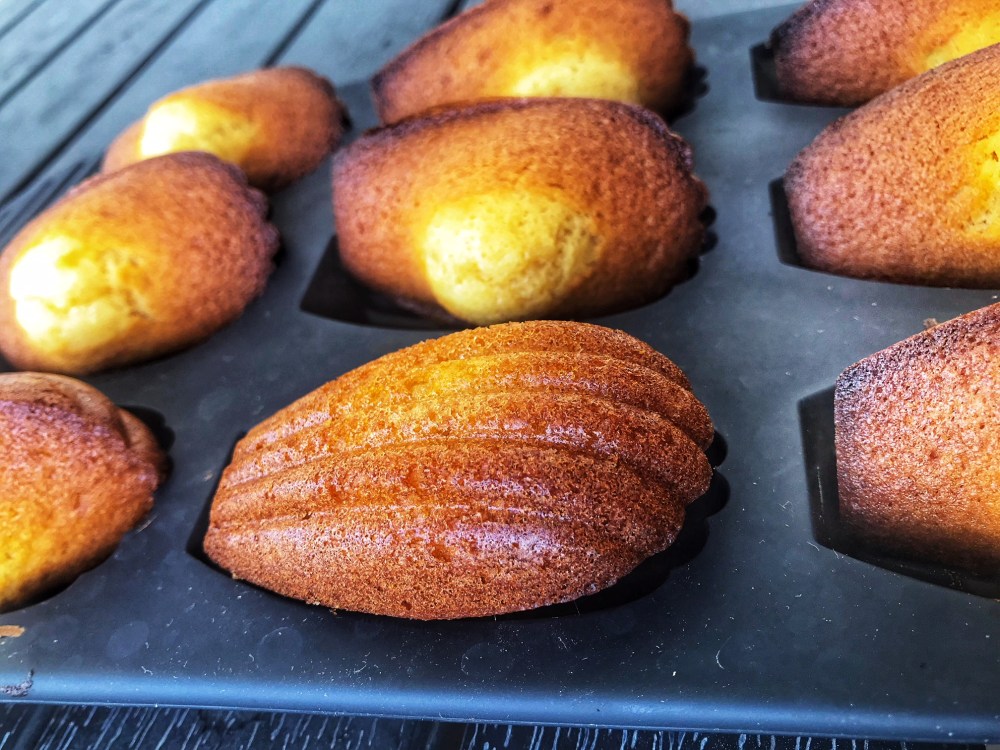 madeleines au caramel16
