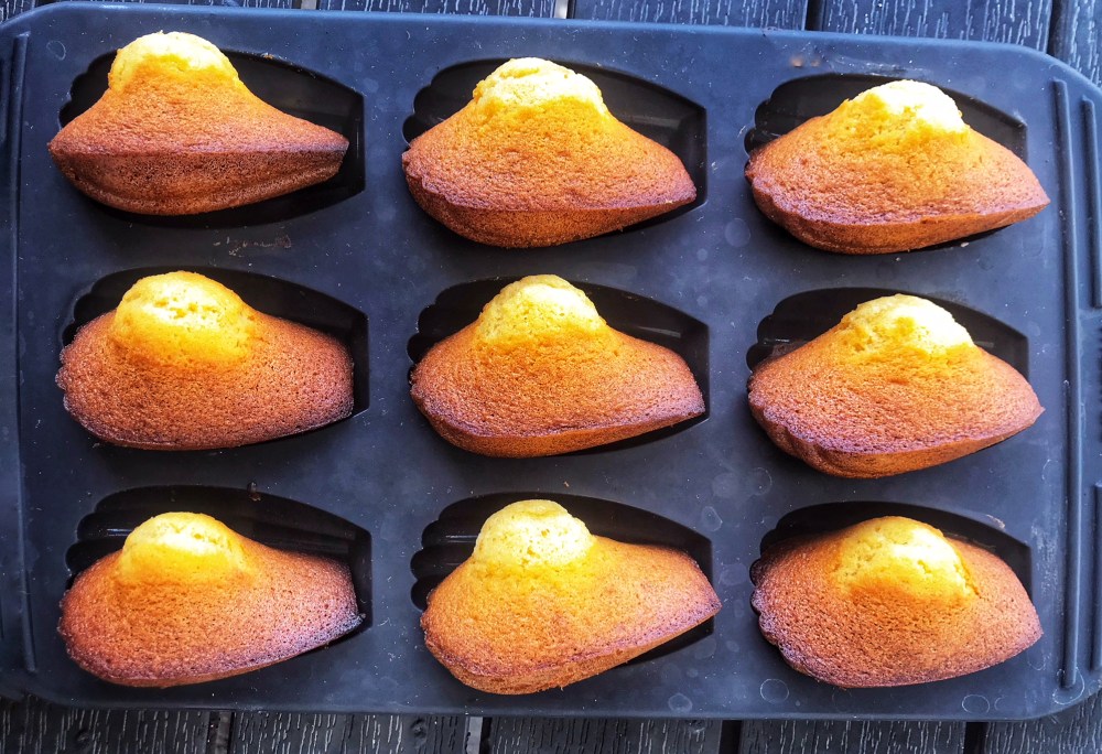 madeleines au caramel17