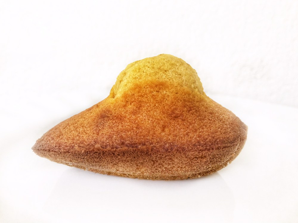 madeleines au caramel28