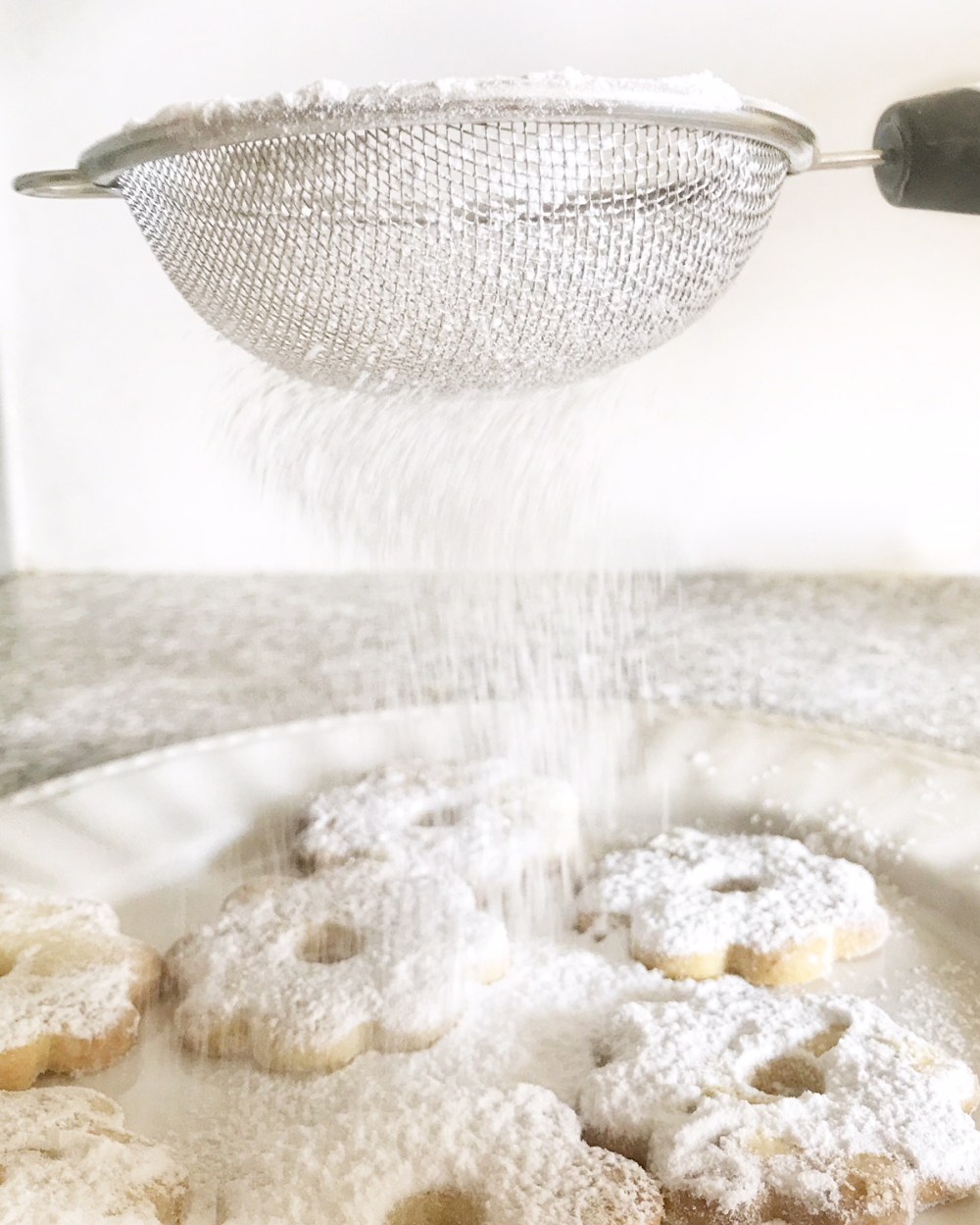 Margherite di Stresa19