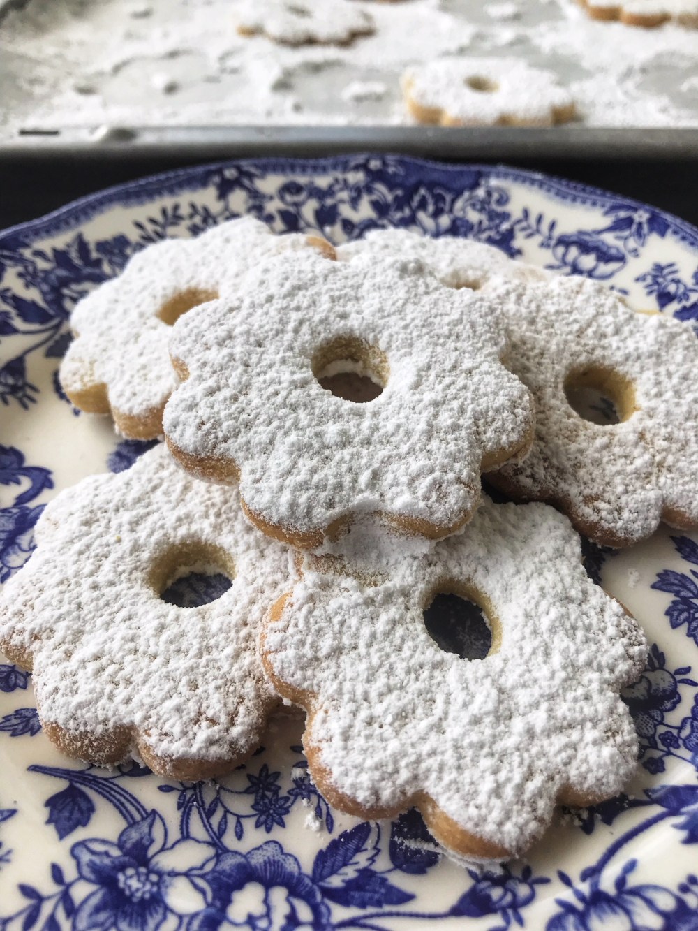 Margherite di Stresa7