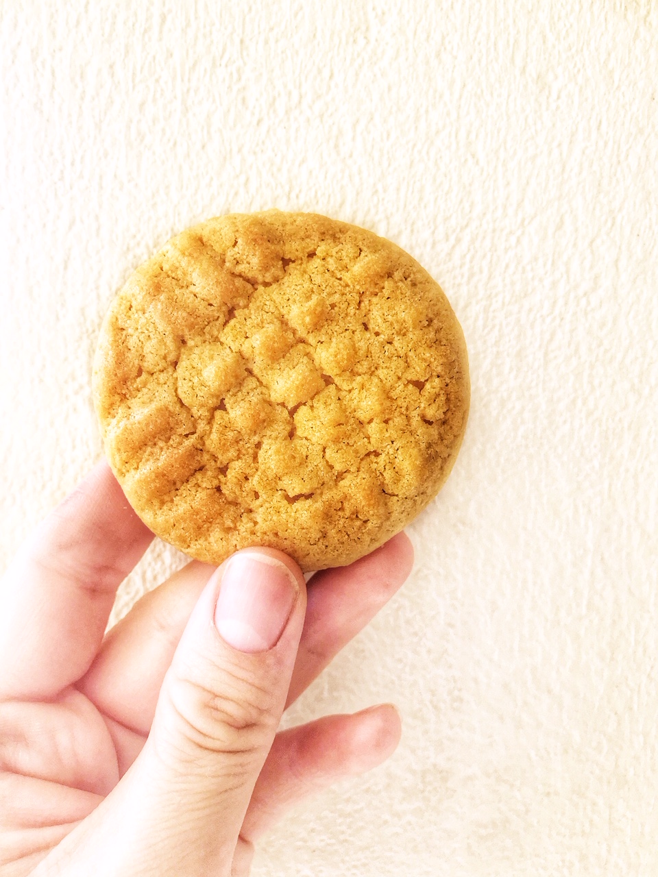 peanut butter cookies5