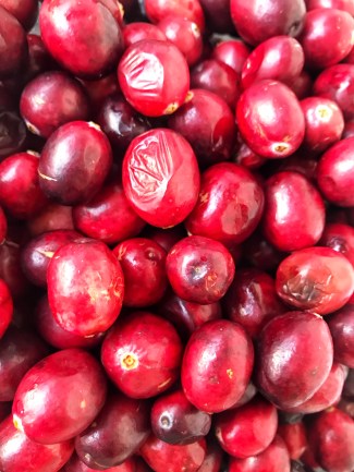 cake aux cranberries