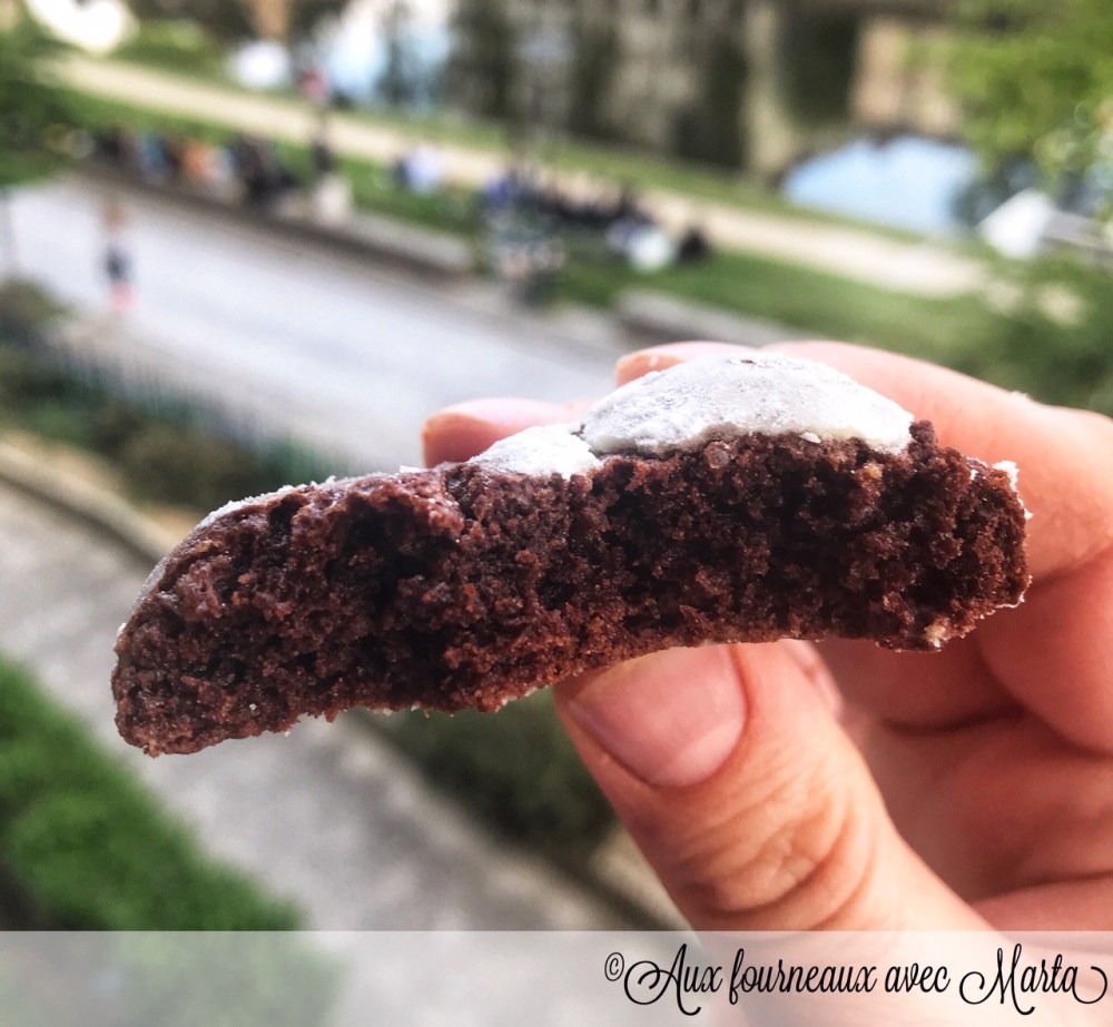 biscuits craquelés au chocolat15