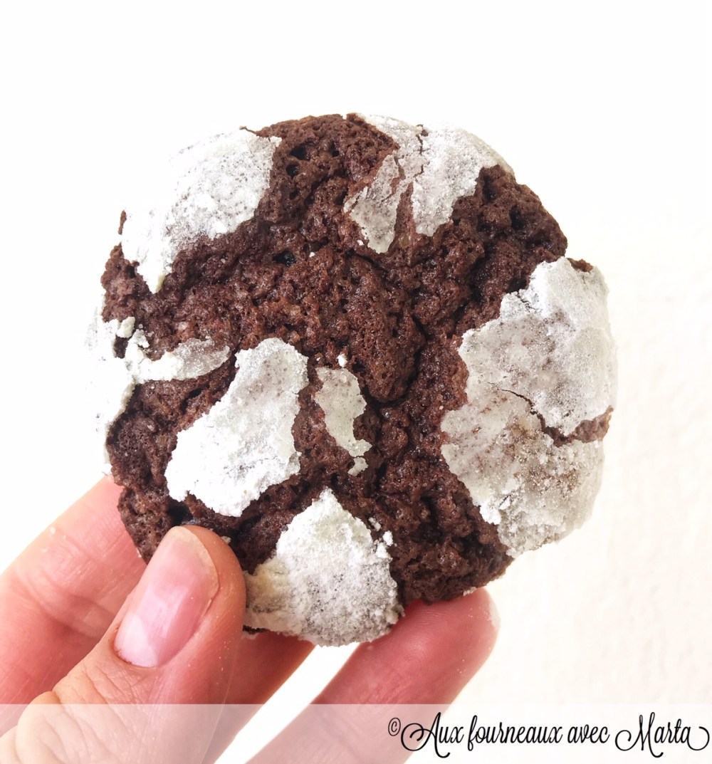 biscuits craquelés au chocolat4