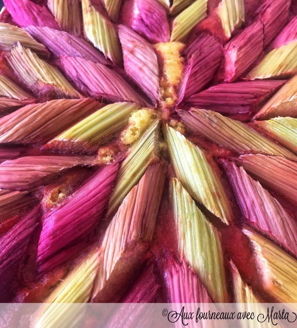tarte rhubarbe3